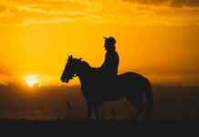 Kayseri Tokat Arası Kaç Km Arabayla, Otobüsle, Uçakla Yol Süresi Ve Güzergah Seçenekleri Kayseri Tokat Arası Kaç Km Arabayla, Otobüsle, Uçakla Yol Süresi Ve Güzergah Seçenekleri