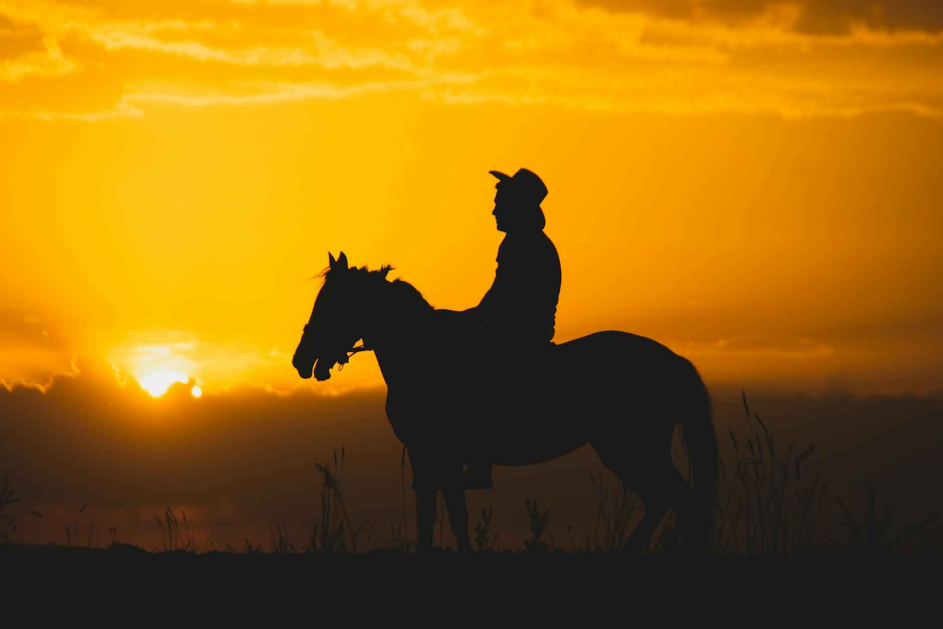 Kayseri Tokat Arası Kaç Km Arabayla, Otobüsle, Uçakla Yol Süresi Ve Güzergah Seçenekleri Kayseri Tokat Arası Kaç Km Arabayla, Otobüsle, Uçakla Yol Süresi Ve Güzergah Seçenekleri