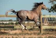 Konya Adana Arası Kaç Km Arabayla, Otobüsle, Uçakla Yol Süresi Ve Güzergah Seçenekleri Konya Adana Arası Kaç Km Arabayla, Otobüsle, Uçakla Yol Süresi Ve Güzergah Seçenekleri