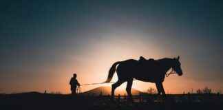 Konya Alanya Arası Kaç Km Arabayla, Otobüsle, Uçakla Yol Süresi Ve Güzergah Seçenekleri Konya Alanya Arası Kaç Km Arabayla, Otobüsle, Uçakla Yol Süresi Ve Güzergah Seçenekleri