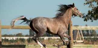 Konya Karaman Arası Kaç Km Arabayla, Otobüsle, Uçakla Yol Süresi Ve Güzergah Seçenekleri Konya Karaman Arası Kaç Km Arabayla, Otobüsle, Uçakla Yol Süresi Ve Güzergah Seçenekleri
