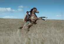 Konya Nevşehir Arası Kaç Km Arabayla, Otobüsle, Uçakla Yol Süresi Ve Güzergah Seçenekleri Konya Nevşehir Arası Kaç Km Arabayla, Otobüsle, Uçakla Yol Süresi Ve Güzergah Seçenekleri