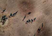 Malatya Mardin Arası Kaç Km Arabayla, Otobüsle, Uçakla Yol Süresi Ve Güzergah Seçenekleri Malatya Mardin Arası Kaç Km Arabayla, Otobüsle, Uçakla Yol Süresi Ve Güzergah Seçenekleri