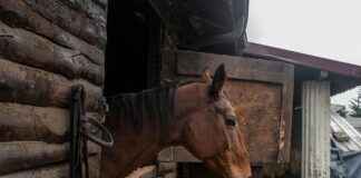 Sakarya Bursa Arası Kaç Km Arabayla, Otobüsle, Uçakla Yol Süresi Ve Güzergah Seçenekleri Sakarya Bursa Arası Kaç Km Arabayla, Otobüsle, Uçakla Yol Süresi Ve Güzergah Seçenekleri