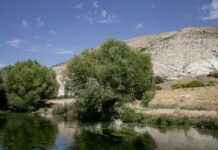 Sivas Kayseri Arası Kaç Km Arabayla, Otobüsle, Uçakla Yol Süresi Ve Güzergah Seçenekleri Sivas Kayseri Arası Kaç Km Arabayla, Otobüsle, Uçakla Yol Süresi Ve Güzergah Seçenekleri