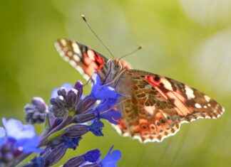 Tatvan Van Arası Kaç Km Arabayla, Otobüsle, Uçakla Yol Süresi Ve Güzergah Seçenekleri Tatvan Van Arası Kaç Km Arabayla, Otobüsle, Uçakla Yol Süresi Ve Güzergah Seçenekleri