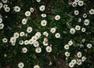Tokat Ankara Arası Kaç Km Arabayla, Otobüsle, Uçakla Yol Süresi Ve Güzergah Seçenekleri Tokat Ankara Arası Kaç Km Arabayla, Otobüsle, Uçakla Yol Süresi Ve Güzergah Seçenekleri
