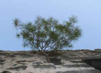 Tokat Kayseri Arası Kaç Km Arabayla, Otobüsle, Uçakla Yol Süresi Ve Güzergah Seçenekleri Tokat Kayseri Arası Kaç Km Arabayla, Otobüsle, Uçakla Yol Süresi Ve Güzergah Seçenekleri