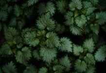 Urfa Antep Arası Kaç Km Arabayla, Otobüsle, Uçakla Yol Süresi Ve Güzergah Seçenekleri Urfa Antep Arası Kaç Km Arabayla, Otobüsle, Uçakla Yol Süresi Ve Güzergah Seçenekleri