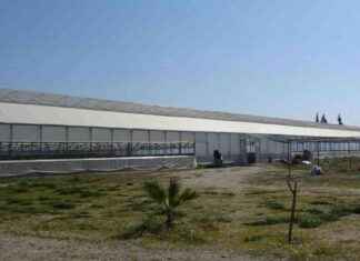 Bankacı ve doktorlar tarafından Aydın’da fabrika kuruldu! 22 dönümde üretim yapıyorlar. bankac-ve-doktorlar-tarafndan-aydnda-fabrika-kuruldu-22-dnmde-retim-yapyorlar