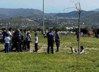 Kayseri’de Köpek Çocuğu Isırdı: Detaylar haberimizde kayseride-kpek-ocuu-srd-detaylar-haberimizde